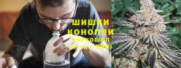 ГАЛЛЮЦИНОГЕННЫЕ ГРИБЫ Ладушкин