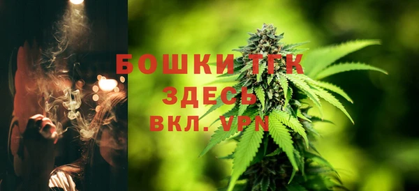 ГАЛЛЮЦИНОГЕННЫЕ ГРИБЫ Ладушкин