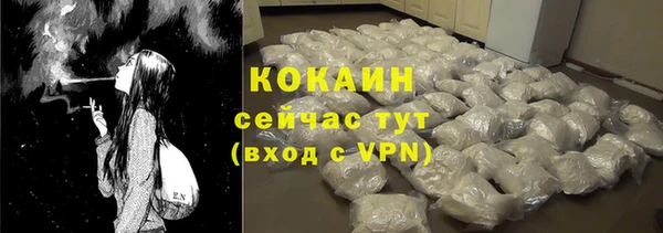 ГАЛЛЮЦИНОГЕННЫЕ ГРИБЫ Ладушкин