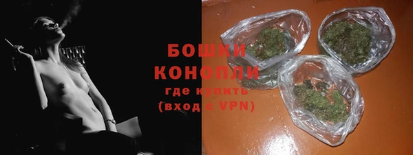 ГАЛЛЮЦИНОГЕННЫЕ ГРИБЫ Ладушкин