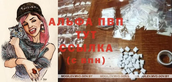 ГАЛЛЮЦИНОГЕННЫЕ ГРИБЫ Ладушкин