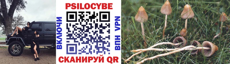 Псилоцибиновые грибы GOLDEN TEACHER  купить наркоту  Мостовской 